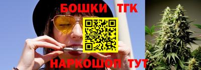 гашик Аргун