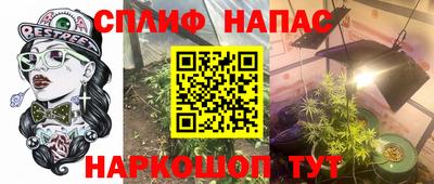 гашик Аргун