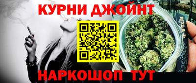 гашик Аргун