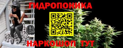 гашик Аргун