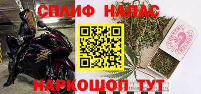 гашик Аргун