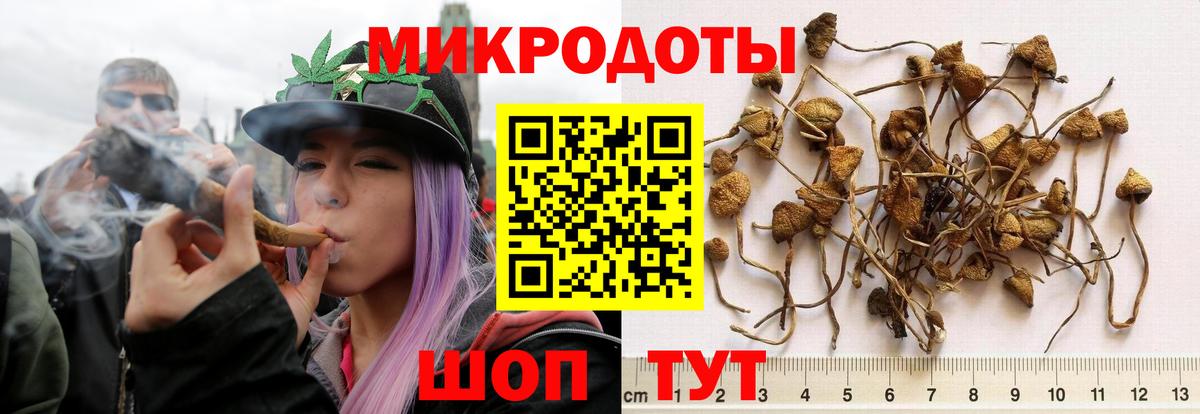 даркнет сайт  Вход с VPN  Беслан  Псилоцибиновые грибы мухоморы 
